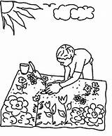 Gardening Coloring Pages  Best For Kids sketch template