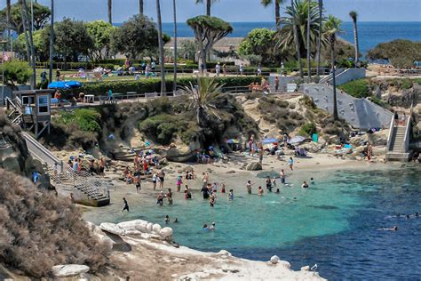 Things to Do in La Jolla for a Day or a Weekend