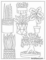 Parts Of A Plant Coloring Pages For Kids sketch template