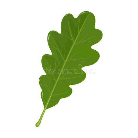 Oak Leaf Vector Icon.Cartoon Vector Icoon Isolated on White Background Oak Leaf. Stock Vector ...