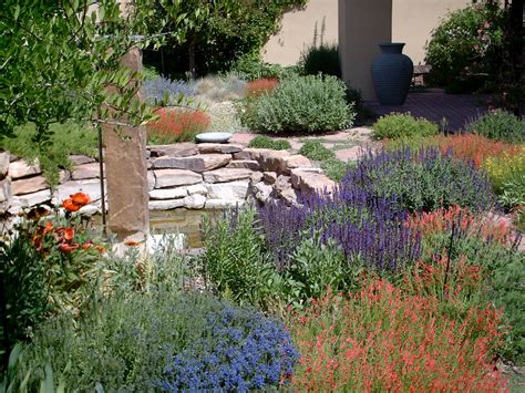 Xeriscape vs. Zeroscape ~ Native Tree and Landscaping