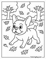 30 French Bulldog Coloring Pages Free Printable PDFs sketch template