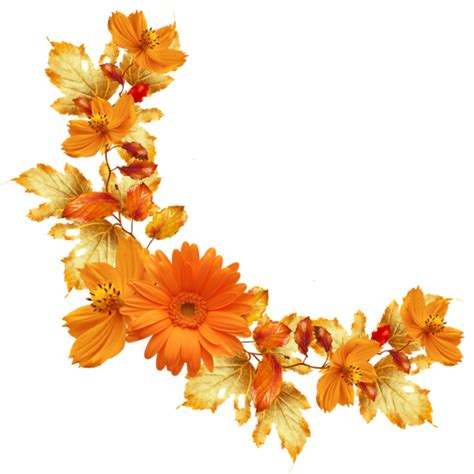 Flower Border Png - Clipart Best