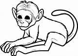 Free Printable Monkey Coloring Pages For Kids sketch template