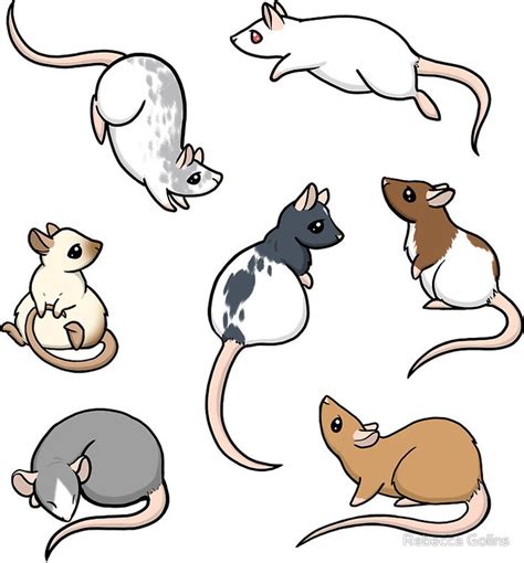 Rats Sticker by Rebecca Golins | Cute drawings, Cartoon rat, Cute rats