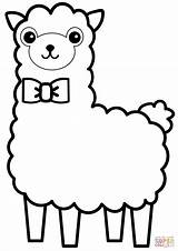 Coloring Alpaca Pages Llama Cute Kawaii Drawing Easy Llamacorn Lama  sketch template