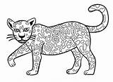 Jaguar Step By Coloring Pages sketch template