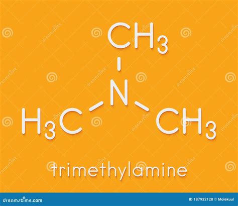 Trimethylamine Volatile Tertiary Amine Molecule. Important Component of the Smell of Rotting ...