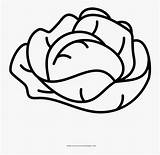 Lettuce Coloring Page  AusmalbilderFurKinderde sketch template
