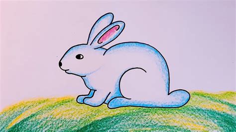 How to Draw Rabbit for Beginners || Rabbit Drawing Colour || Cute ...