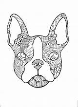 French Bulldog Zentangle  PDF Coloring Page Etsy sketch template