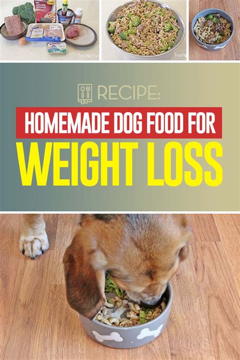 Homemade Weight Loss Dog Food Recipe for Overweight Dogs [Video]