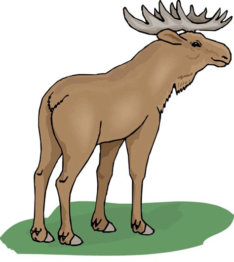 moose animals - Clip Art Library