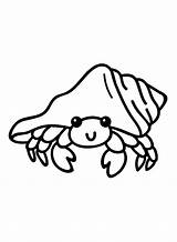 Hermit Crab Coloring Pages Printable For Free Download sketch template