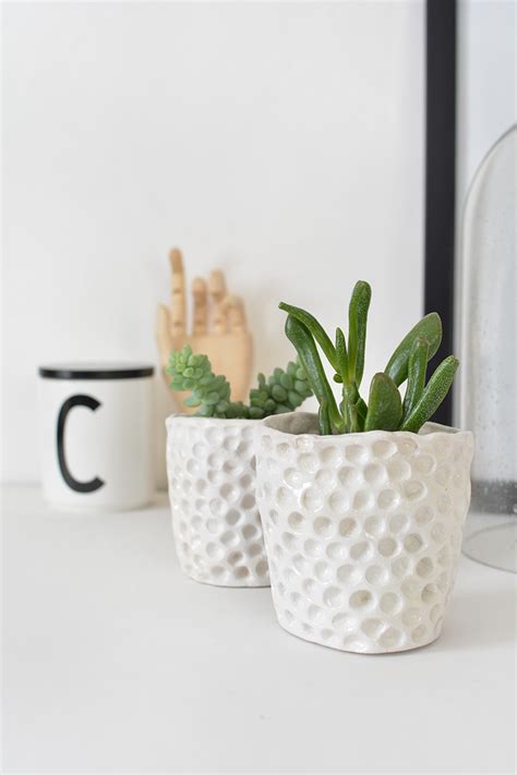 DIY mini succulent planters — Caroline Burke | Burkatron