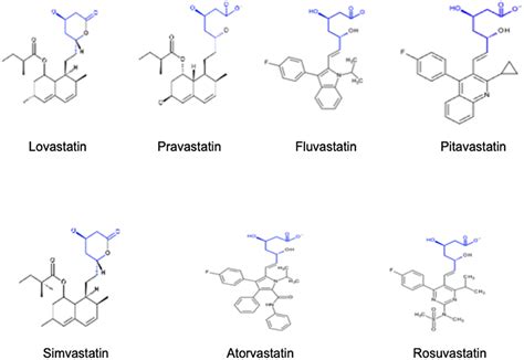 Frontiers | Hydrophilic or Lipophilic Statins?