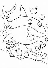 Free Printable Shark Coloring Pages Sketch Page sketch template