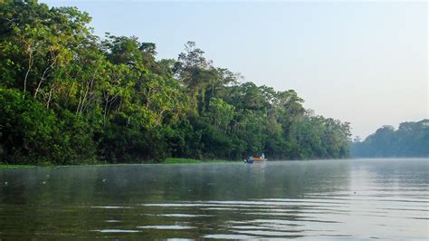 in Peruvian Amazon Rainforest | Anna & Michal | Flickr