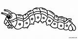 Printable Caterpillar Coloring Pages For Kids  Cool2bKids sketch template
