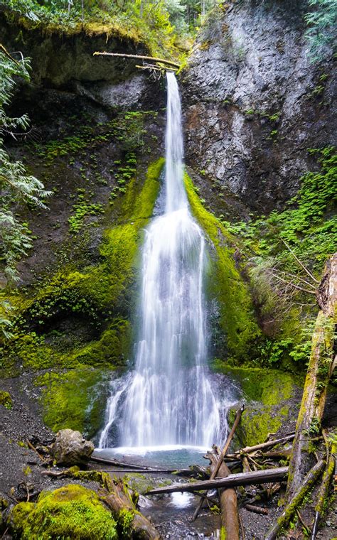 Marymere Falls - Olympic National Park, USA [2271 x 3643] [OC] : r ...