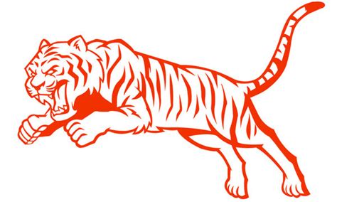 Tiger Vector Image