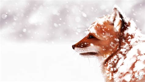 ArtStation - Winter fox