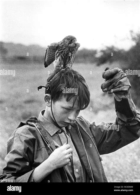 KES, David Bradley, 1969 Stock Photo - Alamy