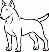 Bull Terrier coloring Page  Free Printable Coloring Pages sketch template