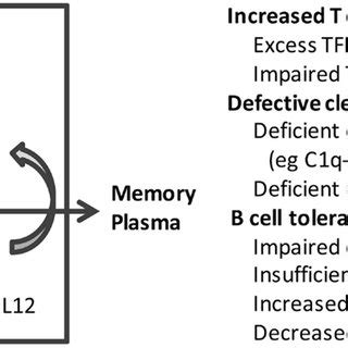 (PDF) Defects in Germinal Center Selection in SLE