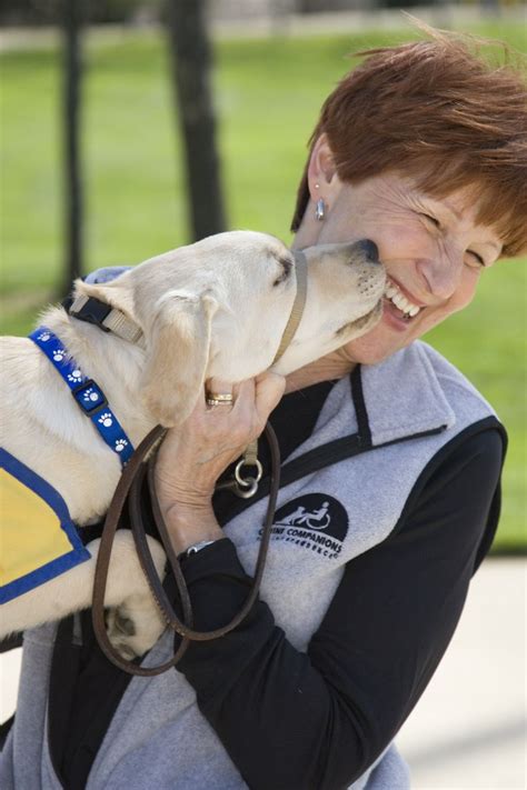 Volunteers | Canine companions, Guide dog, Puppies