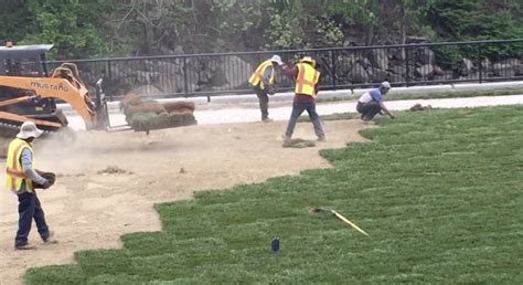 3 Ways to Take Advantage of Sod Installation Near Me - Premier Turf Farms