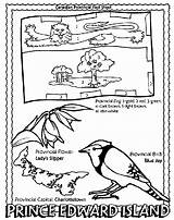 Canadian Province  Prince Edward Island coloring Page sketch template