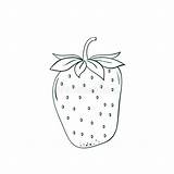 Strawberry Coloring Stock Illustrations – 3995  sketch template