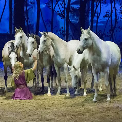 8 Reasons To See Cavalia! | The Glam Mom