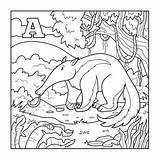 Wild Aardvark Coloring Page  Free Printable Pages For Kids sketch template