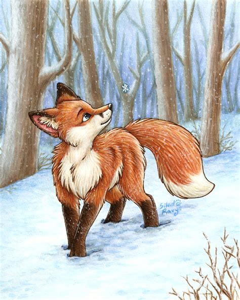 Red Fox - Red Foxes Fan Art (13291540) - Fanpop