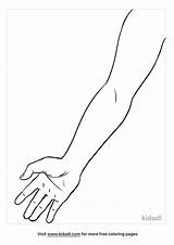 Free Arm Coloring Page  Printables Kidadl sketch template