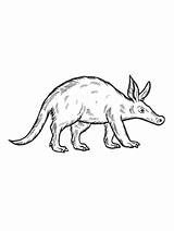 Realistic Aardvark Coloring Page sketch template