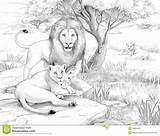 Realistic Lioness Coloring Page  SIMPLE PATTERN COLORING sketch template
