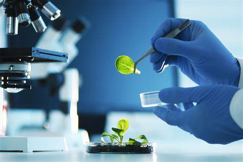 What Is Bioengineering? A Guide for Beginners - BleBur