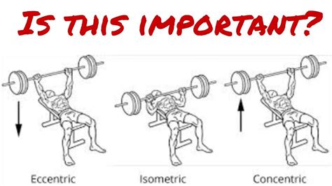 Concentric Workout Definition