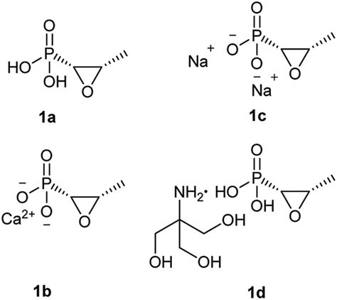 The intriguing biology and chemistry of fosfomycin: the only marketed phosphonate antibiotic ...