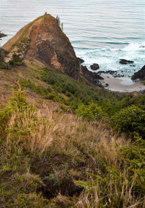 10 Best Hiking Trails Along the Oregon Coast • Reckless Roaming