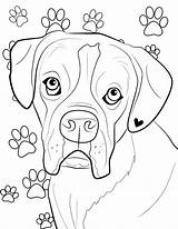 Boxer Boxer Coloring Page Coloring Books  Etsy sketch template