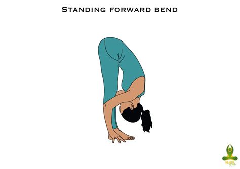 Uttanasana (Standing Forward Bend) steps, precautions and benefits