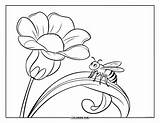 70  Honey Bee Coloring Pages For Kids & Adults Free Printable PDFs sketch template