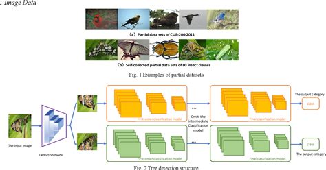 Figure 1 from Image Classification of Biota Specimens Based On Multi ...