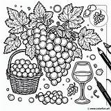Coloring page Of A Bunch grapes Download Or Print For Free sketch template