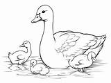 Mother Goose World Coloring  Page sketch template