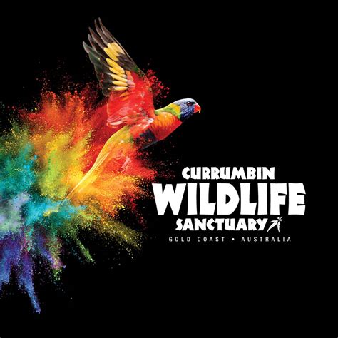 Currumbin Wildlife Sanctuary | Gold Coast QLD